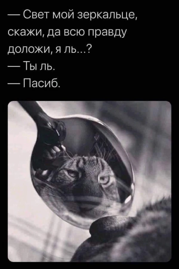 pic pic