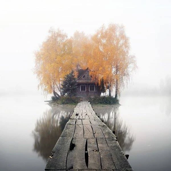 pic pic