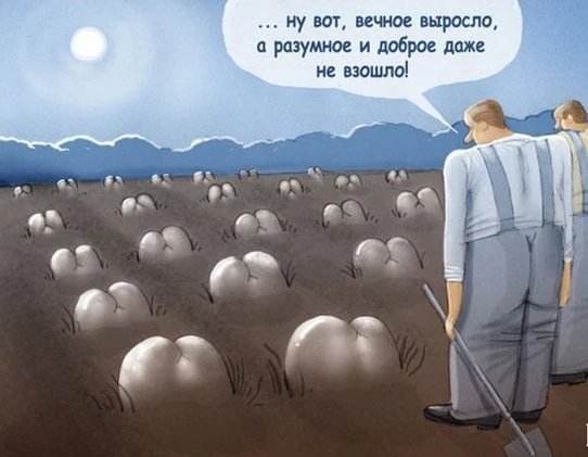 pic pic