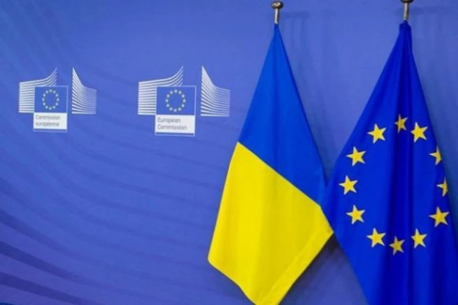 Елена Подгорная - Форум Украина-ЕС ➕➖