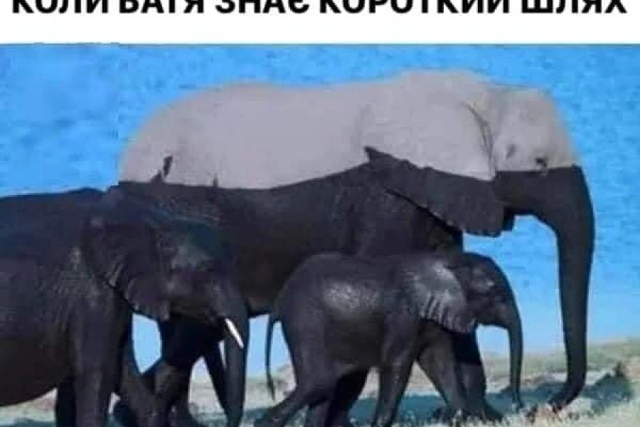 Таня Адамс - Бегать нам по кругу еще долго…