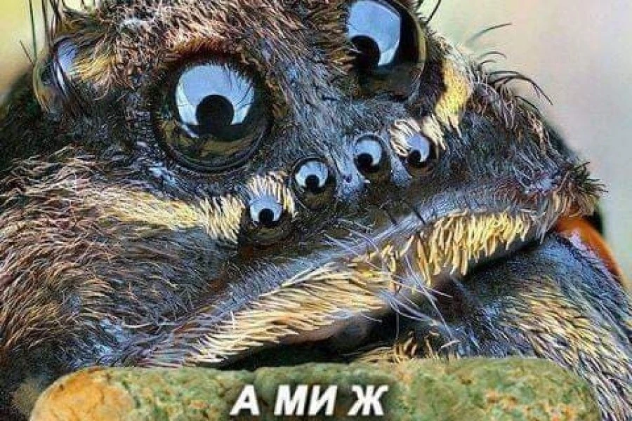 Таня Адамс - Дайджест за 25022021
