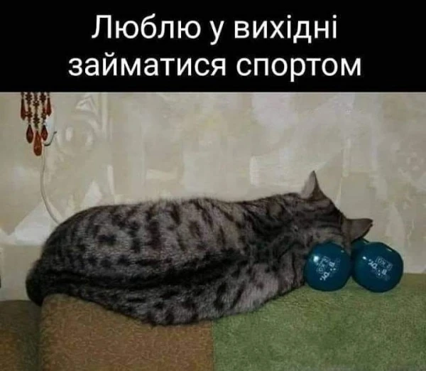 pic pic