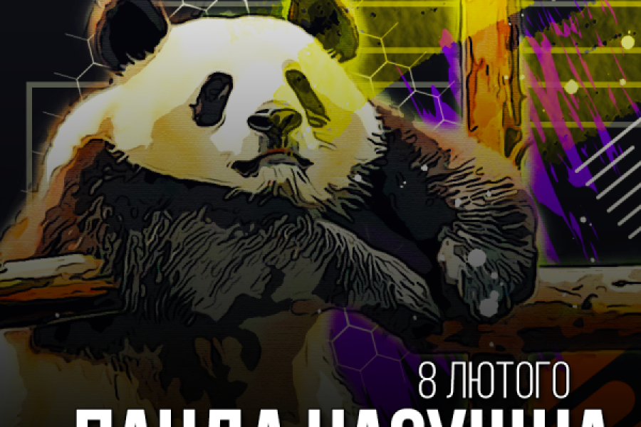 Олександр Дедюхін - Панда насущна - 8 лютого