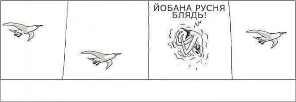 pic pic