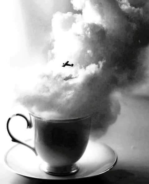 pic pic