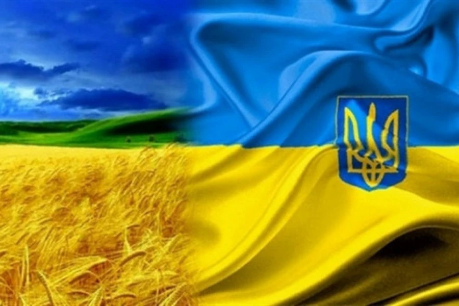 Олена Кудренко - Украинский феномен