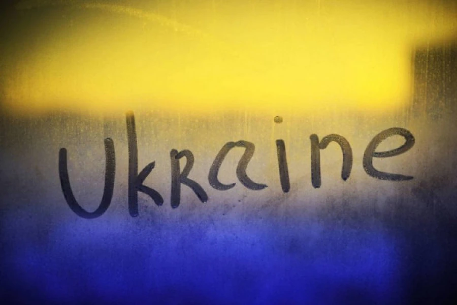 Олена Кудренко - Антикризові менеджери власної долі