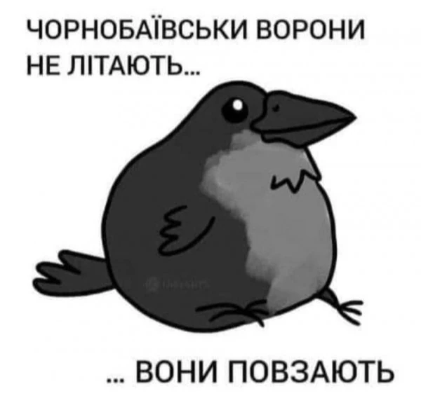 pic pic