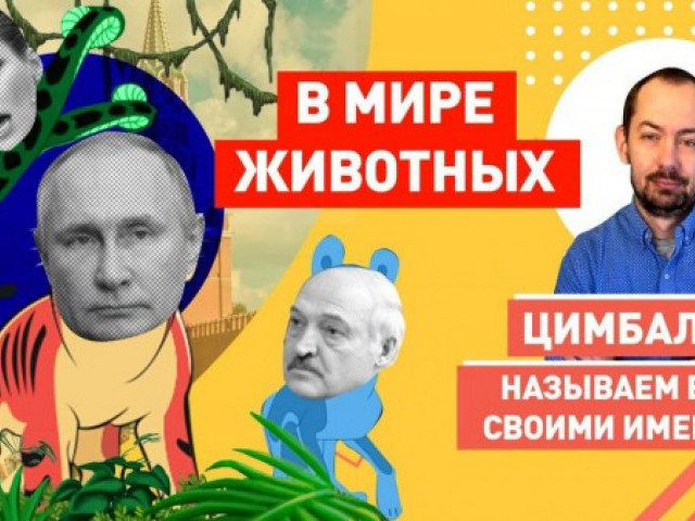 Что это было? Зачем Путин пригласил Зеленского приехать в Москву