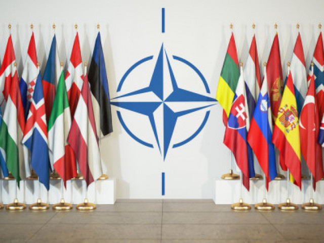 Борислав Береза - По итогам брюссельского саммита НАТО