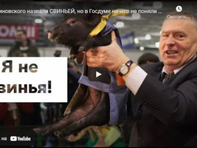 Роман Цимбалюк - Жириновского назвали свиньей, но в Госдуме ничего не поняли и взялись за Казахстан