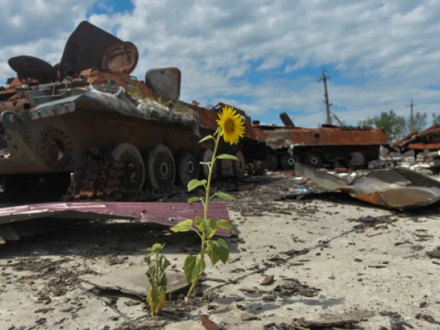 Сергей Ауслендер - Чудовищные экологические последствия войны в Украине
