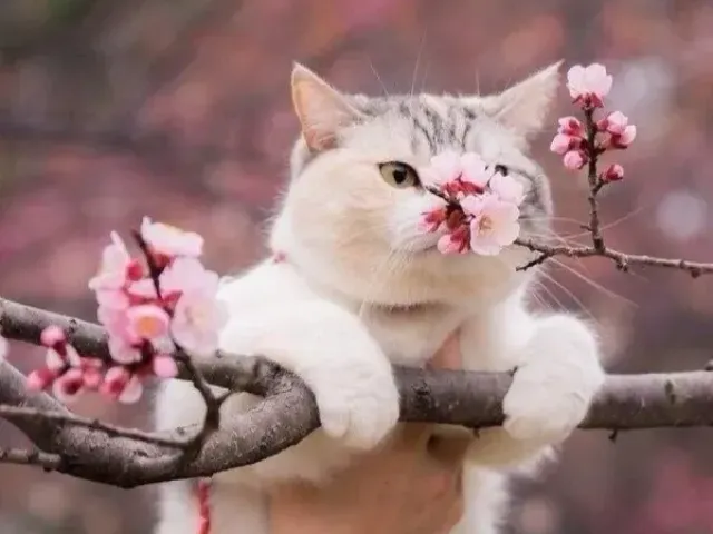 Алексей Копытько - О текущем моменте