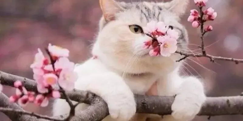 Алексей Копытько - О текущем моменте