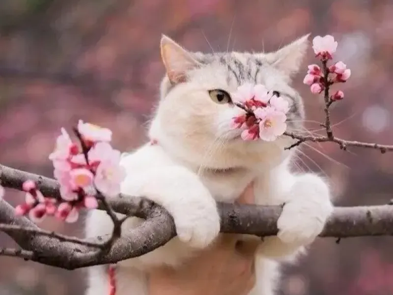 Алексей Копытько - О текущем моменте