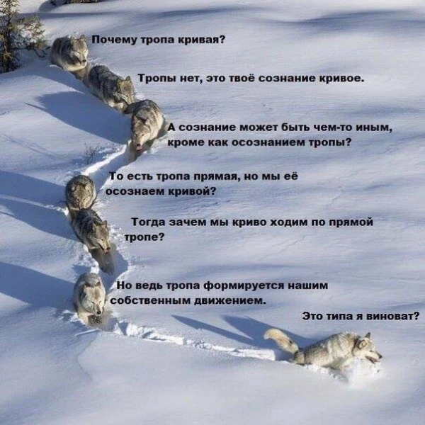 НЕМНОГО ФИЛОСОФИИ В ХОЛОДНОЙ ВОДЕ...