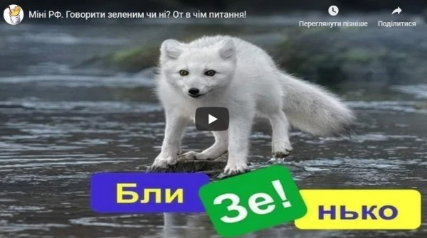 Міні РФ