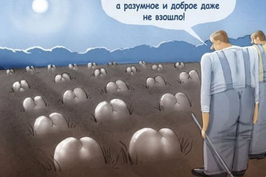 Таня Адамс - Легитимизация серой тупой посредственности
