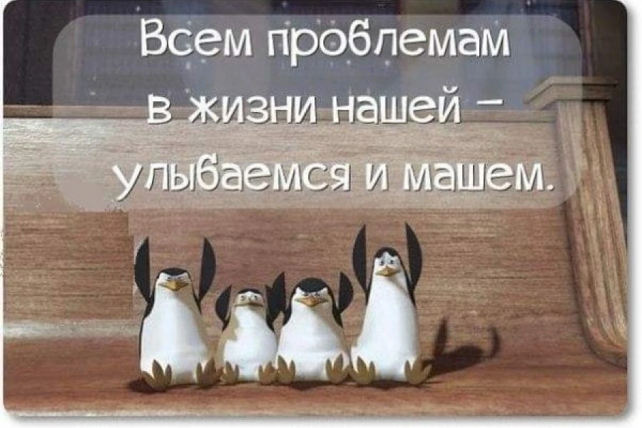 Елена Подгорная - Будет весело и экстремально