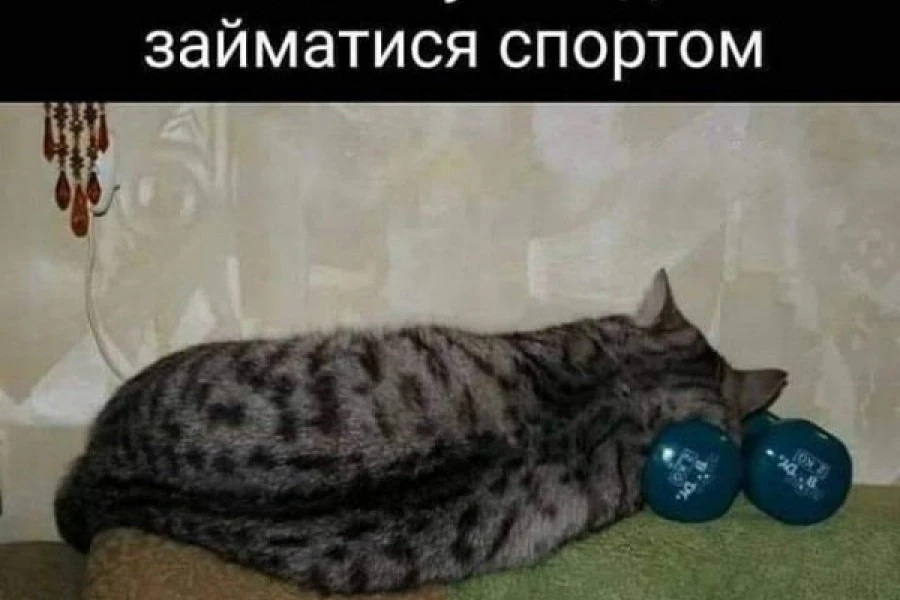 Таня Адамс - Мое тело не любит спорт