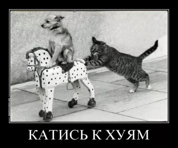 pic pic