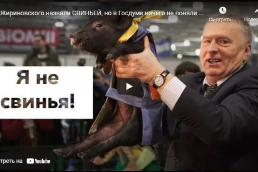 Роман Цимбалюк - Жириновского назвали свиньей, но в Госдуме ничего не поняли и взялись за Казахстан