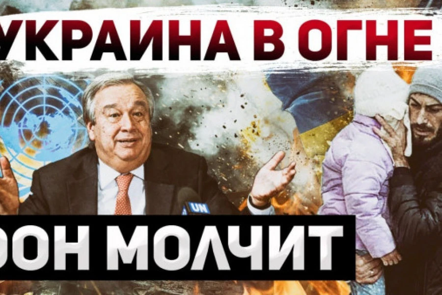 Сергей Ауслендер - ООН - политическая импотенция